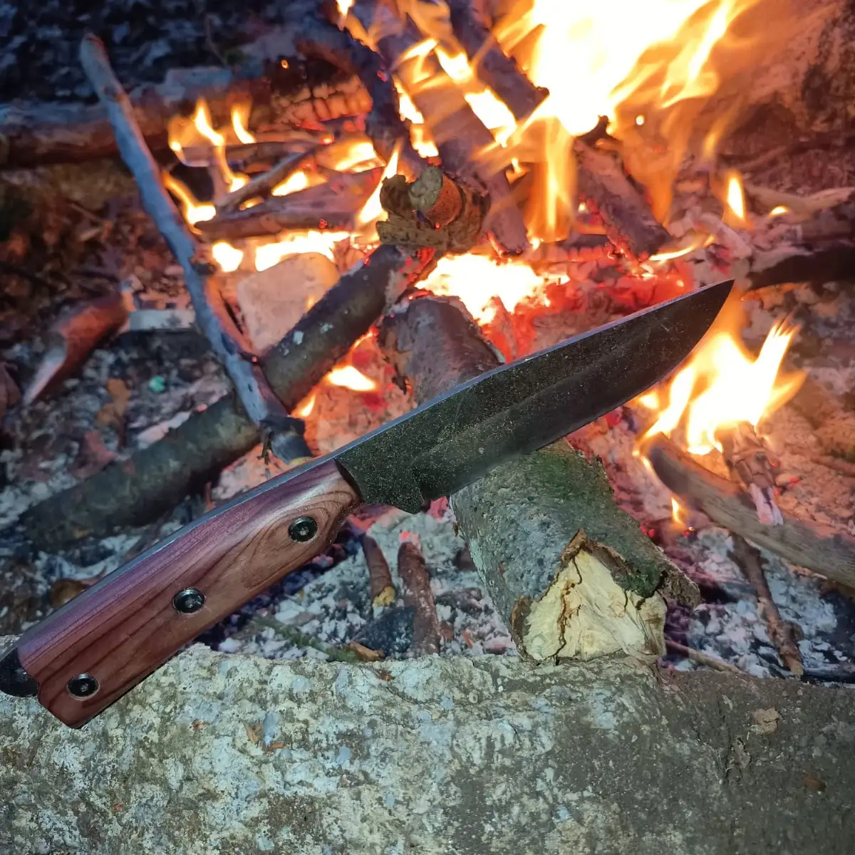 Couteau  Bushcraft manche en IF rose