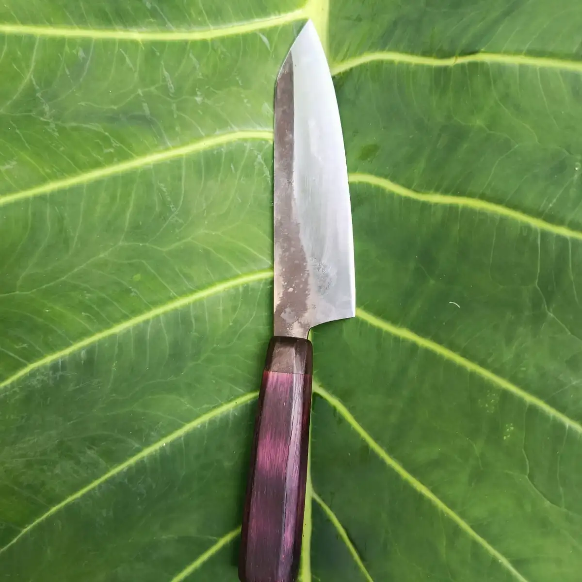Le Bunka manche en amarante et chêne fumé