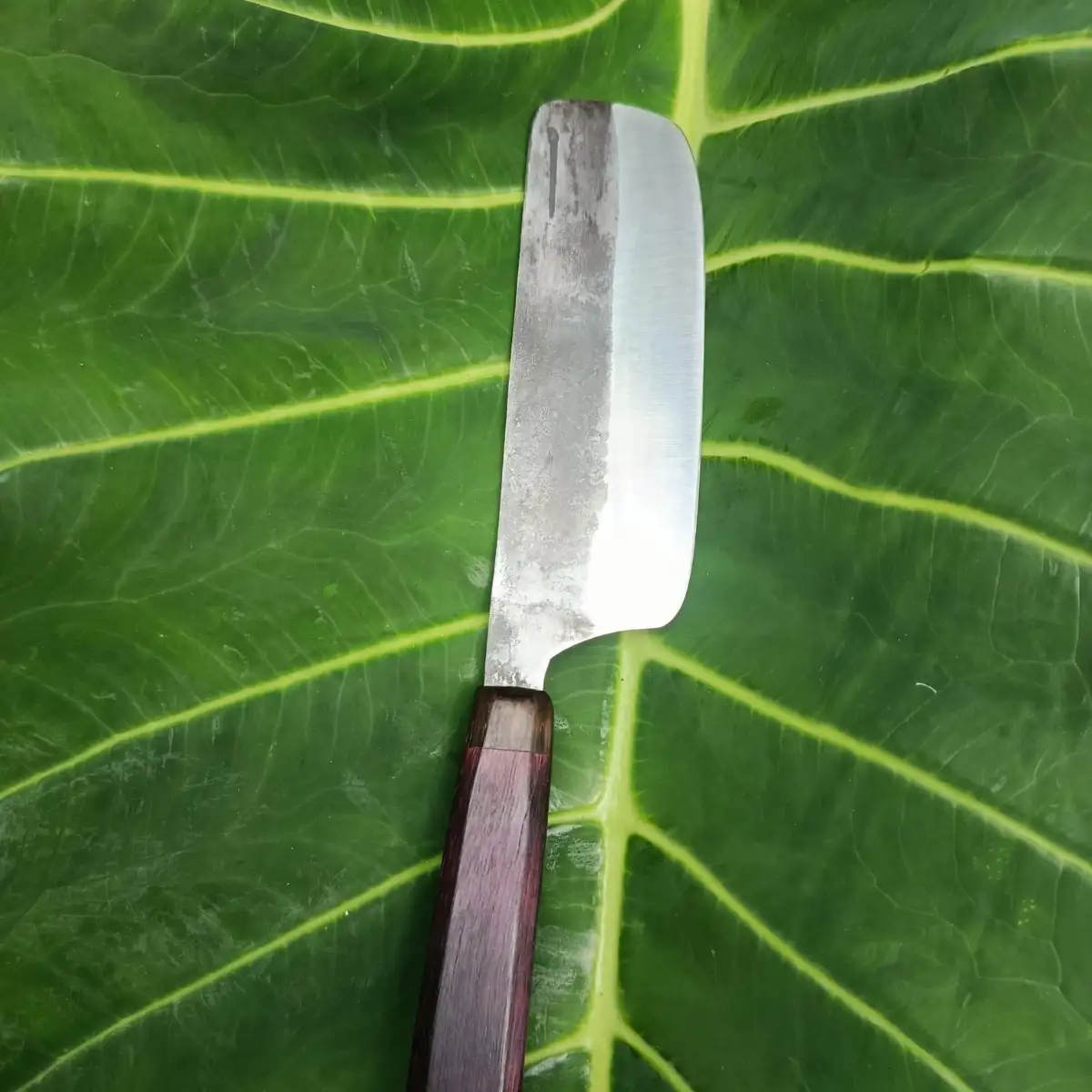 Le Nakiri manche en amarante et chêne fumé